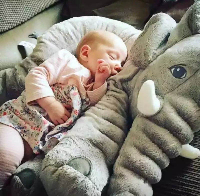 Elephant Plush Toy